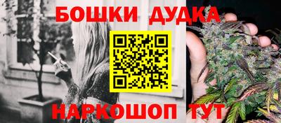 стаф Брянск