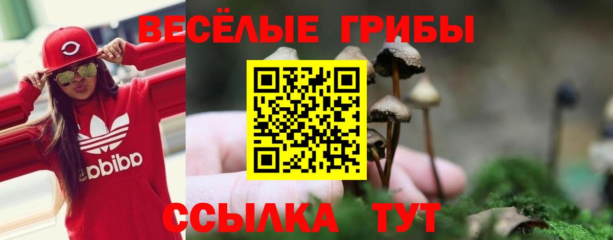 Апшеронск  Галлюциногенные грибы Cubensis  Вход с VPN 